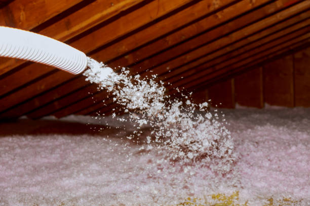 Best Insulation for Specific Applications in Dillingham, AK