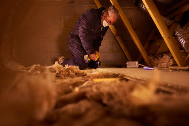 Best Insulation Materials and Products in Dillingham, AK
